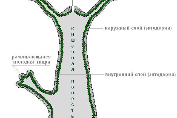 Кракен безопасный вход