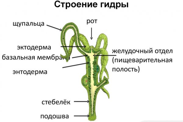 Адрес кракен в тор