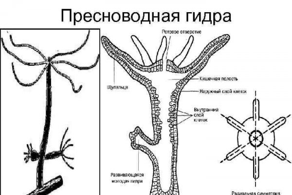 Кракен магазин kraken clear com