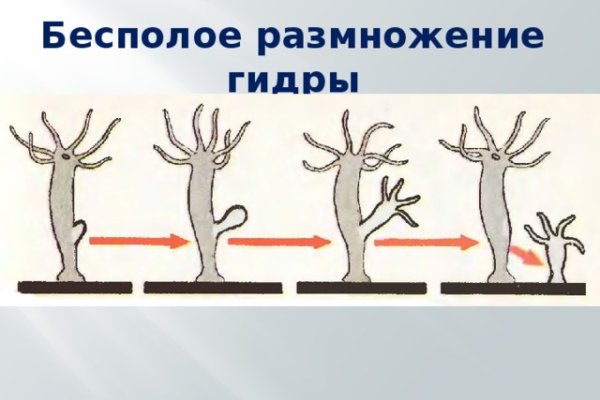 Ссылка в магазин на кракен