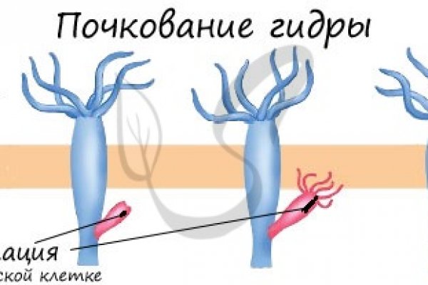 Сайт наркотиков купить