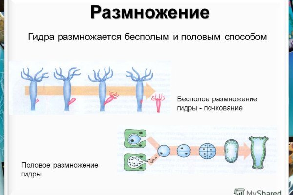 Кракен вход krakens13 at