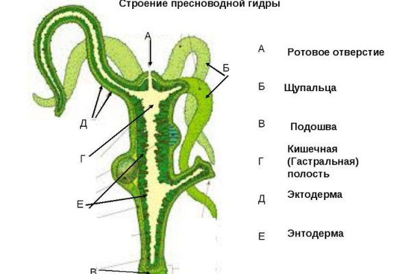 Кракен сайт 18