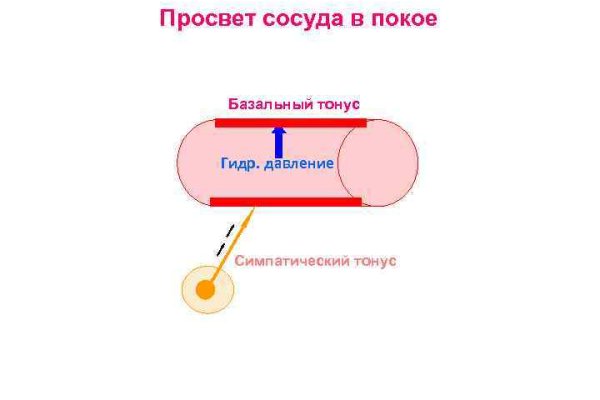 Кракен маркет свежие ссылки