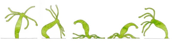 Kraken сайт зеркала